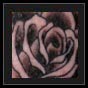 script tattoo lettering and roses