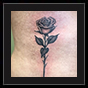 rose tattoo design
