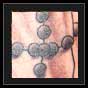 religious prayer tattoo