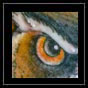 owl tattoo