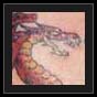 dragon tattoo