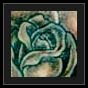 tattoo cover up