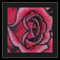 name and rose tattoo idea