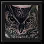 owl tattoo idea