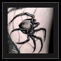 spider tattoo idea