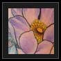 pictures of flower