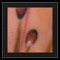flower tattoo