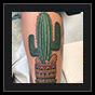 Cactus tattoo design
