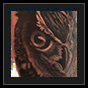 Owl tattoo design