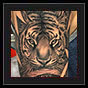 Tiger tattoo idea